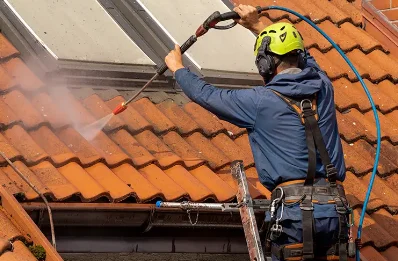Démoussage et hydrofuge de toiture à Estérençuby